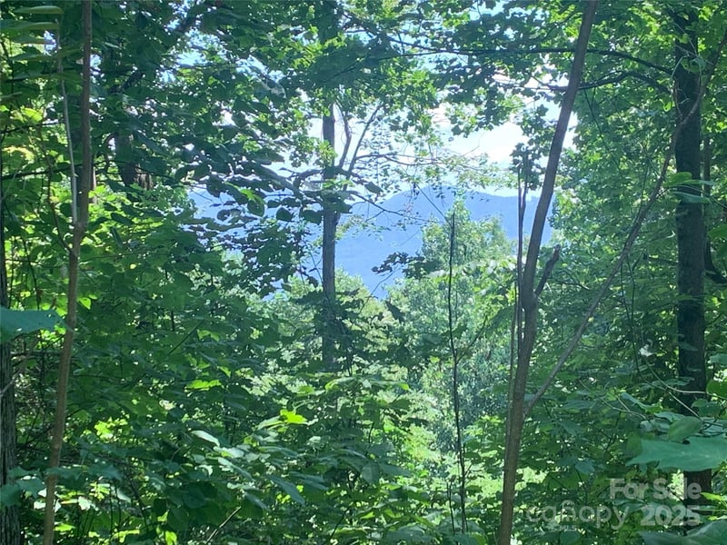 1915 Creston Dr #T-18, Black Mountain, NC 28711