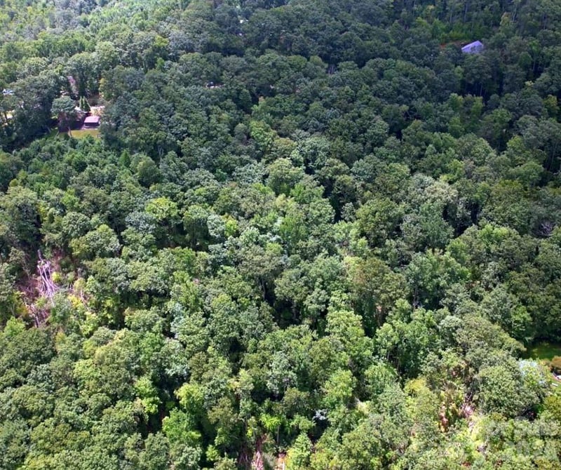13 Old Mill Rd, Hendersonville, NC 28792