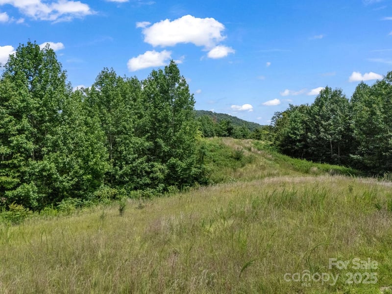 000 Climbing Rd, Hendersonville, NC 28792