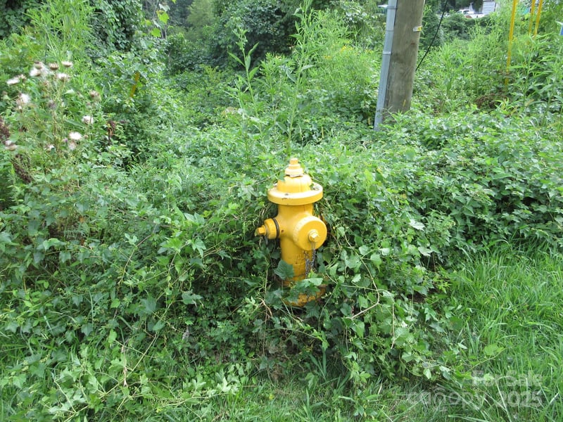 3 Belgium Ln, Asheville, NC 28806