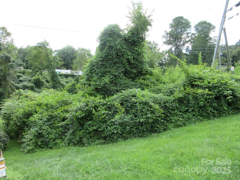 3 Belgium Ln, Asheville, NC 28806