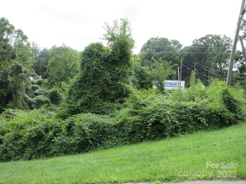 3 Belgium Ln, Asheville, NC 28806