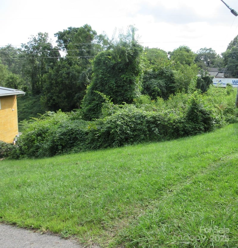 3 Belgium Ln, Asheville, NC 28806