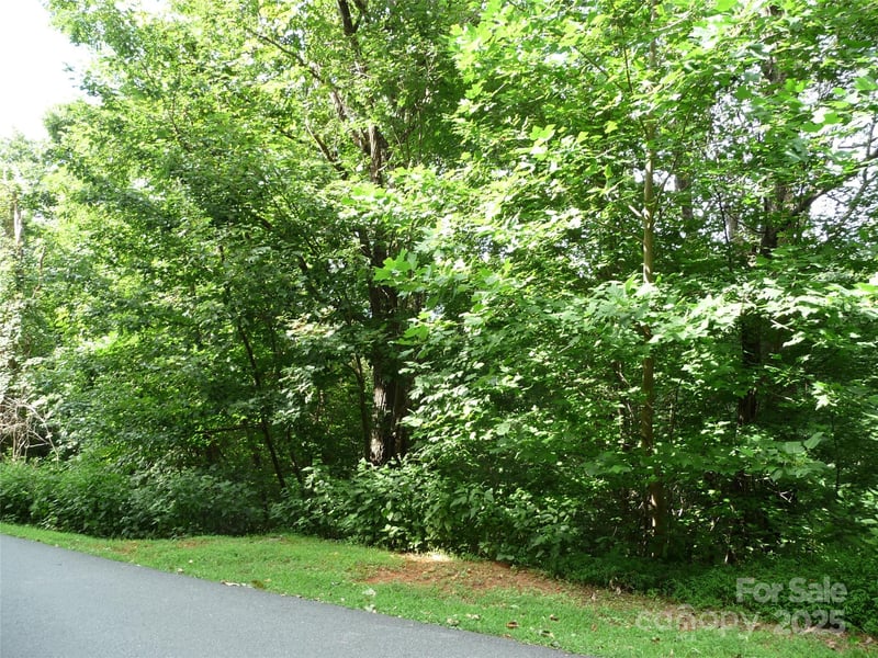 Lot 35 Morning Ride Dr Lot 35, Columbus, NC 28722