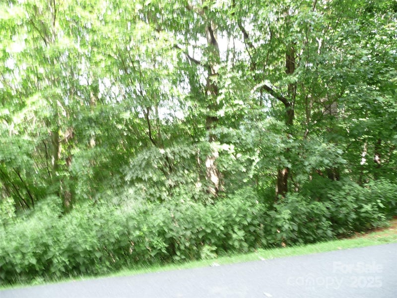 Lot 35 Morning Ride Dr Lot 35, Columbus, NC 28722