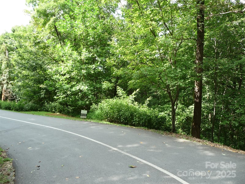 Lot 35 Morning Ride Dr Lot 35, Columbus, NC 28722