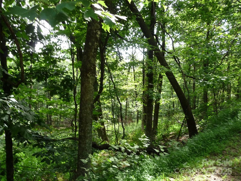 Lot 12 Sunset Ridge Dr Lot 12, Columbus, NC 28722