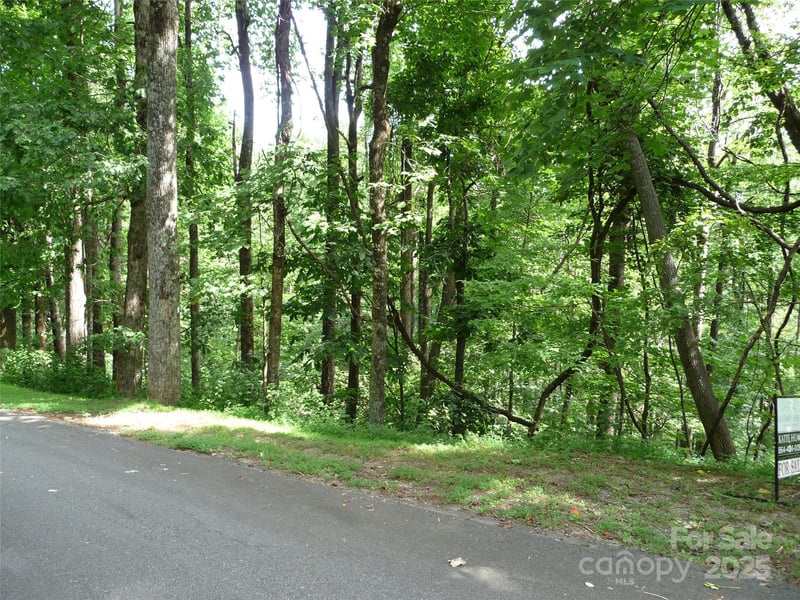 Lot 12 Sunset Ridge Dr Lot 12, Columbus, NC 28722