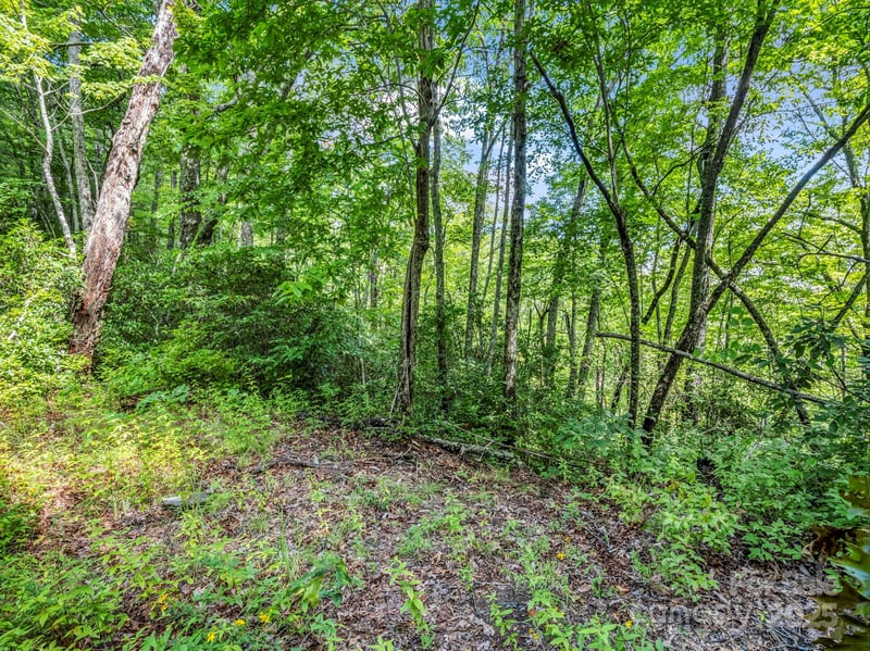 TBD Frozen Creek Rd, Brevard, NC 28712