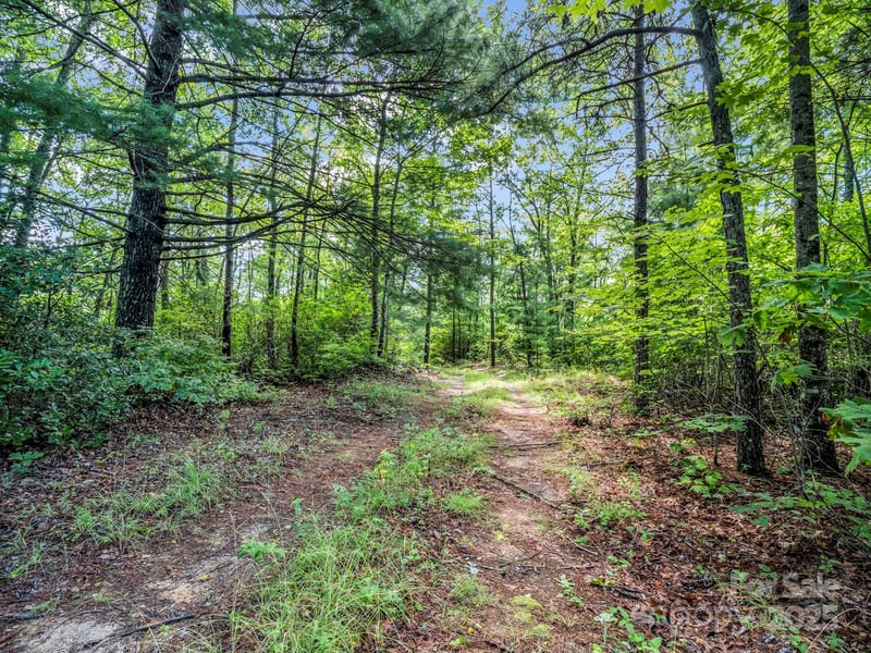 TBD Frozen Creek Rd, Brevard, NC 28712