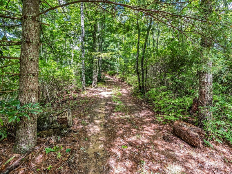 TBD Frozen Creek Rd, Brevard, NC 28712