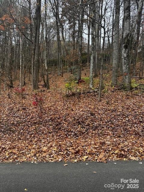 309 Nottingham Rd, Maggie Valley, NC 28751