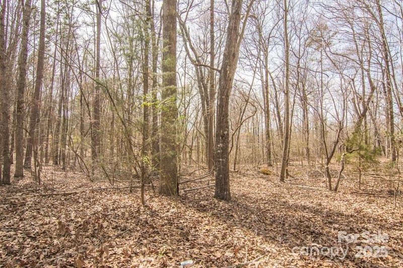 000 Jim Wilson Rd, Indian Land, SC 29707