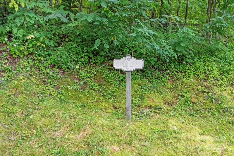 Special Parcel 1 Mountain Air Dr, Burnsville, NC 28714