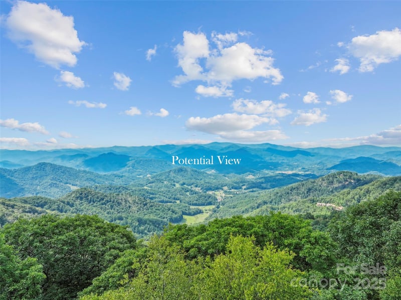 Lot 9 Wormy Chestnut Rd, Burnsville, NC 28714