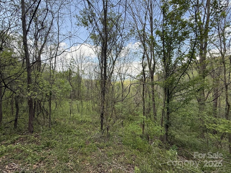284 Northridge Dr, Canton, NC 28716