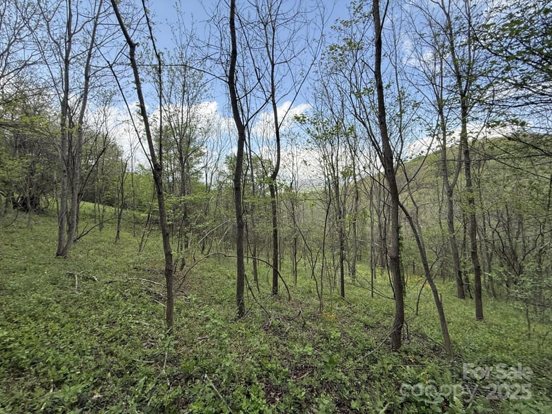 284 Northridge Dr, Canton, NC 28716