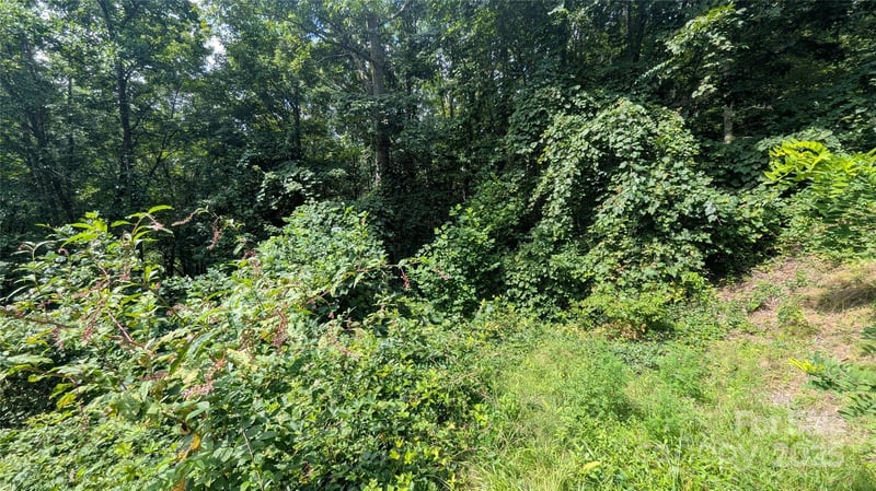 00 Pinewood Dr #7, Waynesville, NC 28786