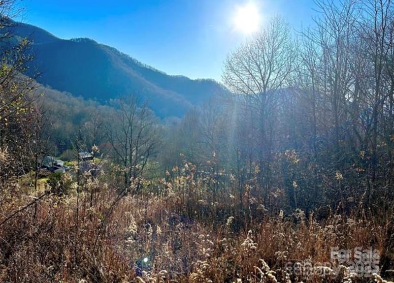 108 Lanning Rd, Clyde, NC 28721