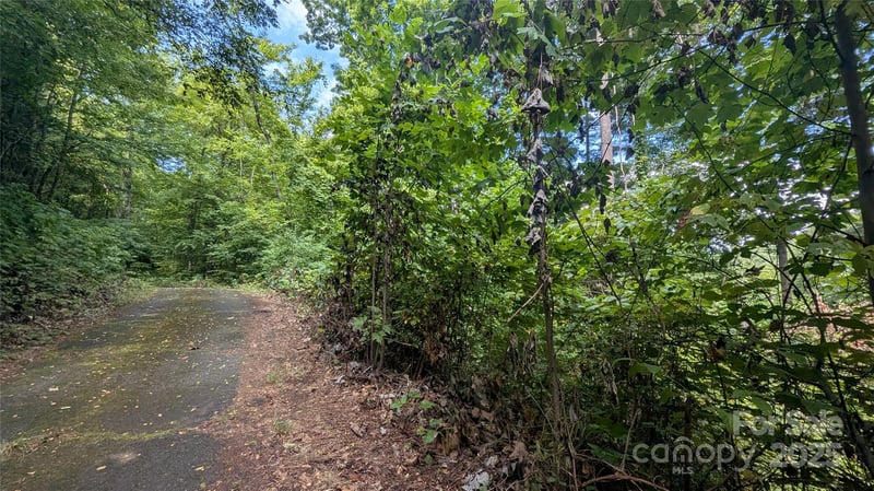 00 Chestnut Walk Dr #3, Waynesville, NC 28786