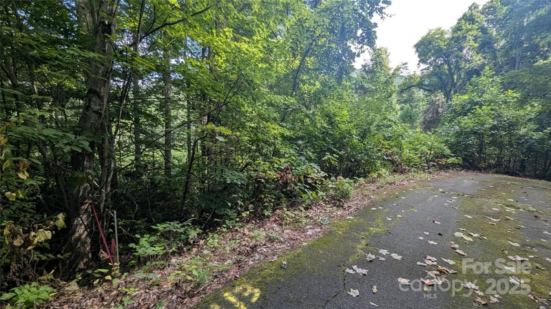00 Chestnut Walk Dr #3, Waynesville, NC 28786