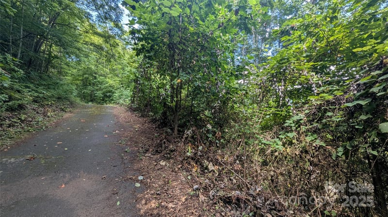 00 Chestnut Walk Dr #3, Waynesville, NC 28786