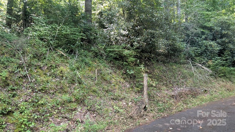 00 Chestnut Walk Dr #3, Waynesville, NC 28786