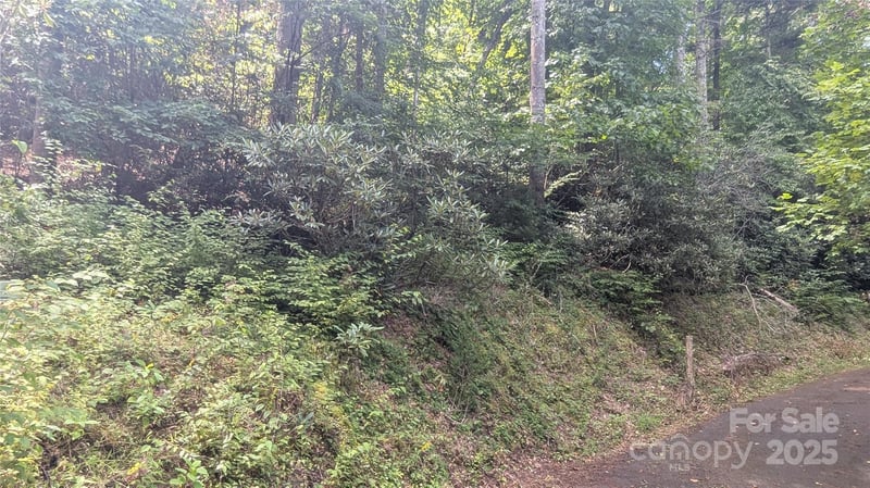 00 Chestnut Walk Dr #3, Waynesville, NC 28786