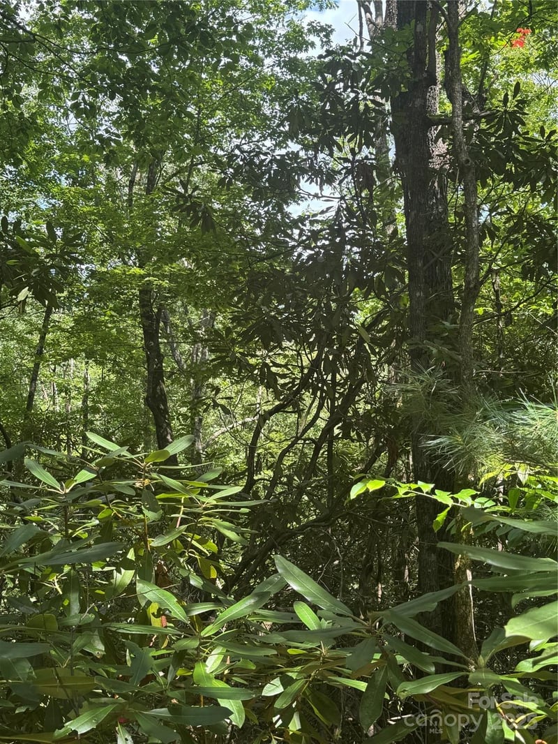 000 Trillium Ct #37, Sapphire, NC 28774