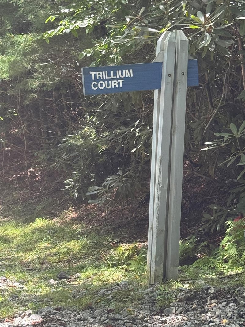 000 Trillium Ct #37, Sapphire, NC 28774