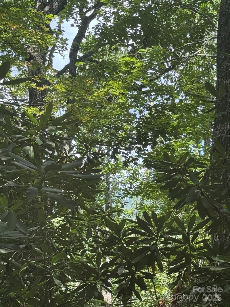 000 Trillium Ct #37, Sapphire, NC 28774