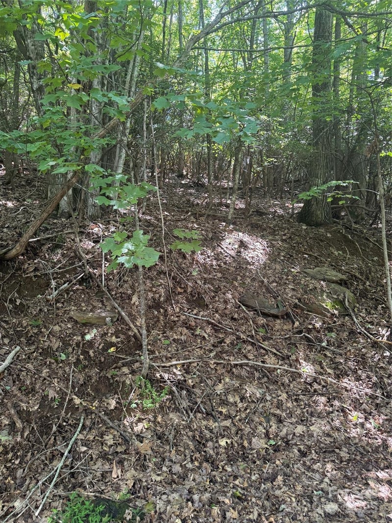 000 Wild Cherry Dr #187, Mills River, NC 28759