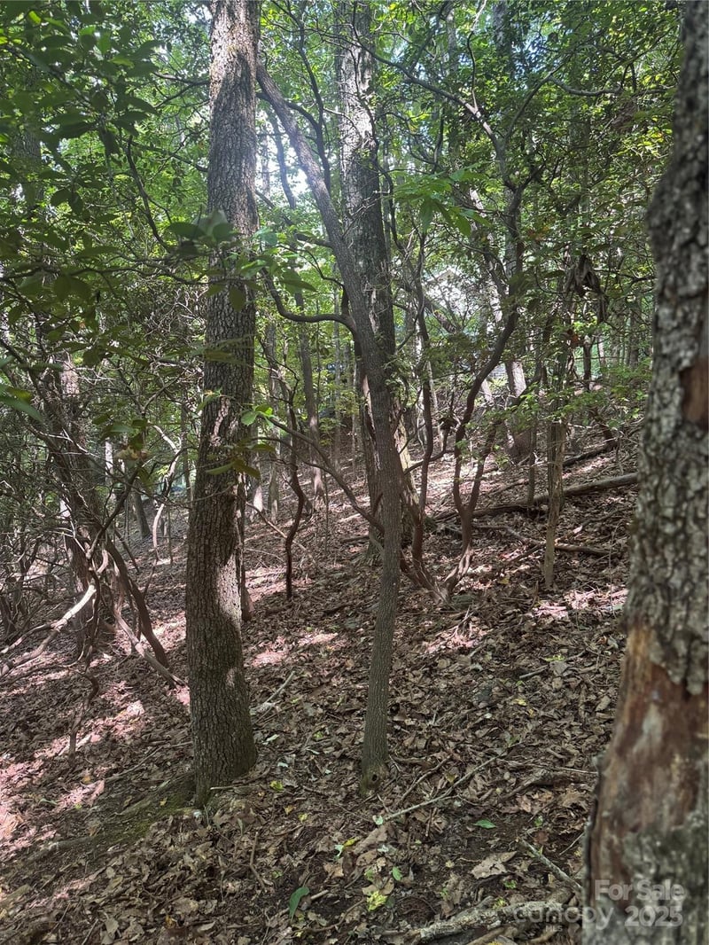 000 Wild Cherry Dr #187, Mills River, NC 28759