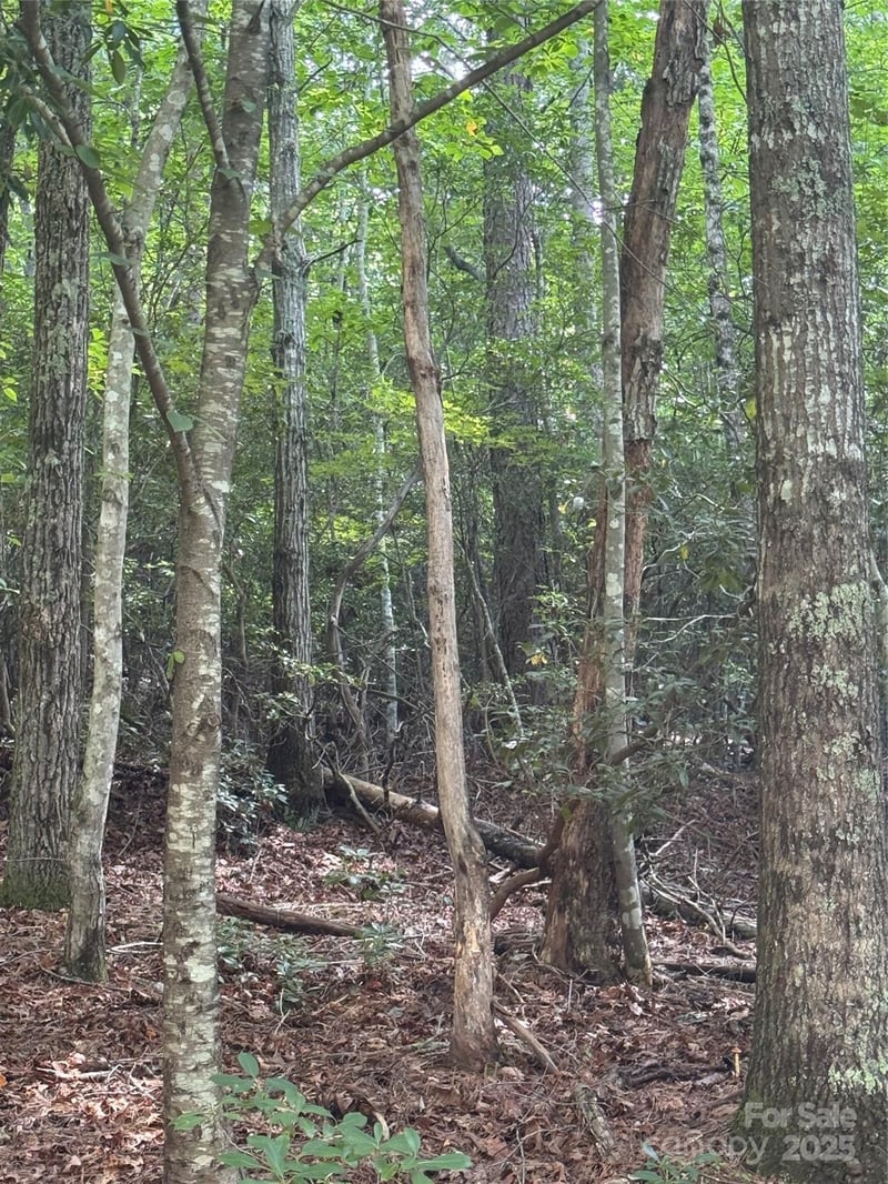 23 Red Oak Dr, Mills River, NC 28759