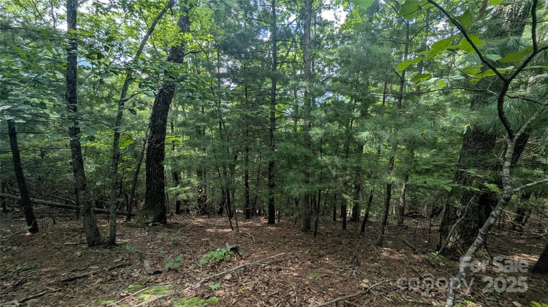 00 Pinewood Dr, Waynesville, NC 28786