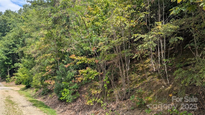 00 Pinewood Dr, Waynesville, NC 28786