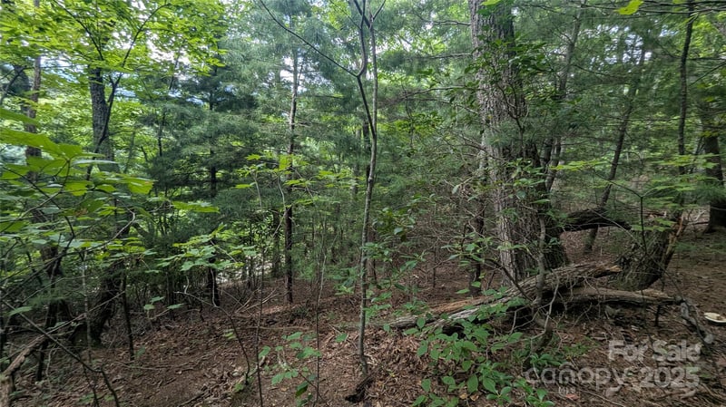 00 Pinewood Dr, Waynesville, NC 28786
