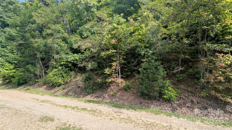 00 Pinewood Dr, Waynesville, NC 28786