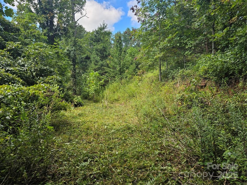 97 Destination Dr, Asheville, NC 28806