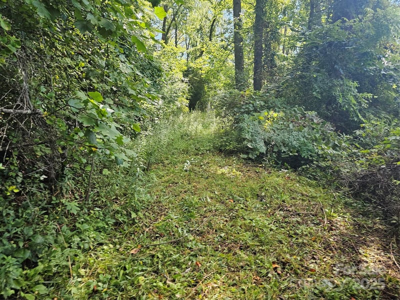 97 Destination Dr, Asheville, NC 28806