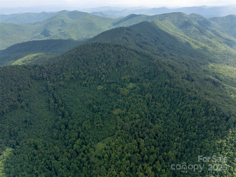 99999 Billy Cove Rd, Candler, NC 28715