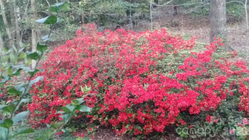 3065 Woodstream Dr, Valdese, NC 28690
