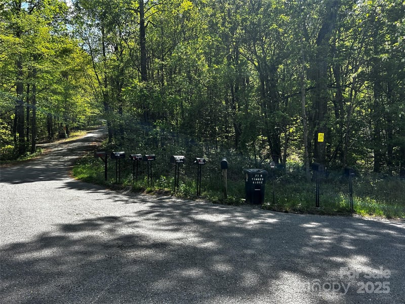 0 NO Timber Ridge Dr #42, Hendersonville, NC 28792