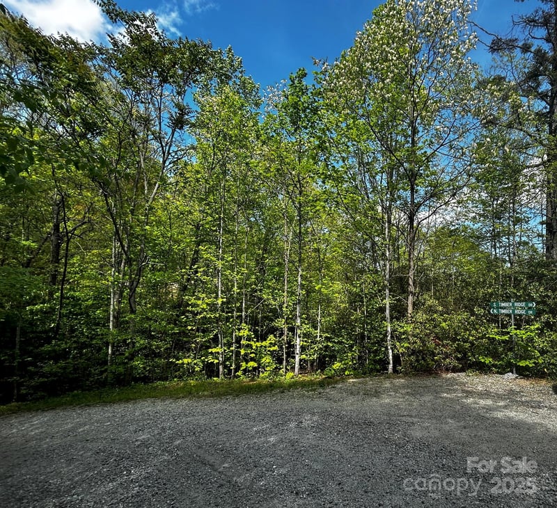 0 NO Timber Ridge Dr #42, Hendersonville, NC 28792