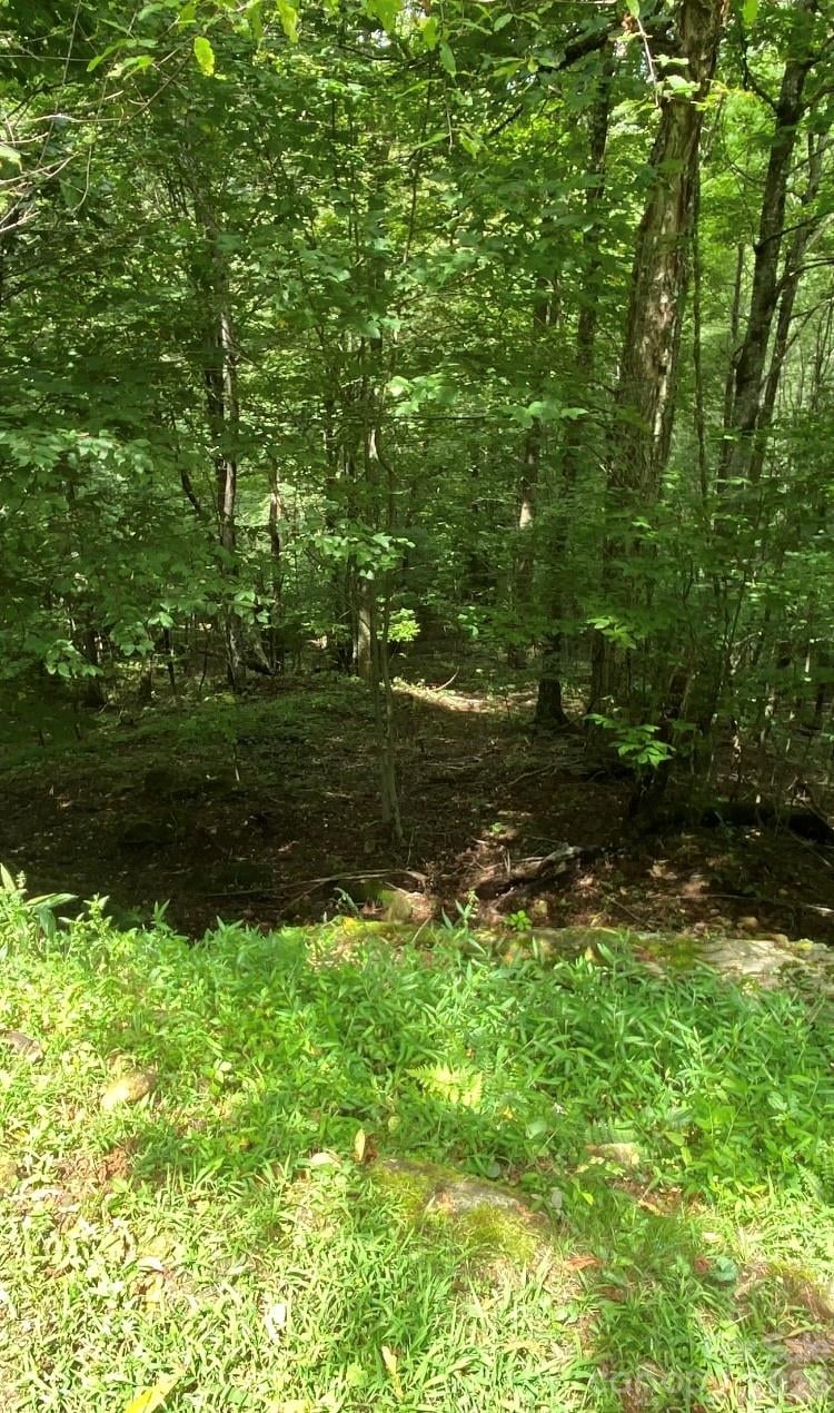 10 Mountain Gait Dr, Mars Hill, NC 28754