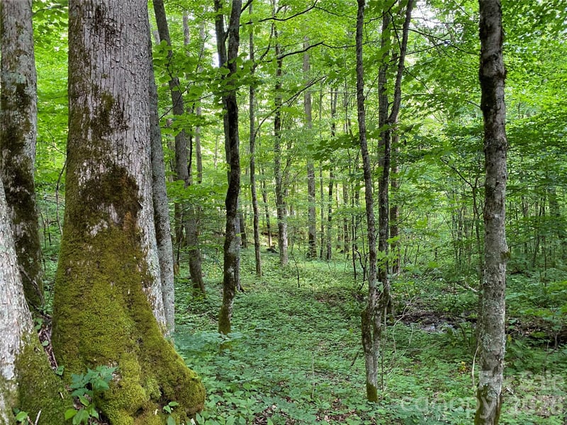 10 Mountain Gait Dr, Mars Hill, NC 28754