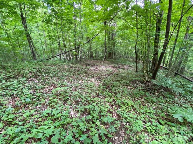 10 Mountain Gait Dr, Mars Hill, NC 28754