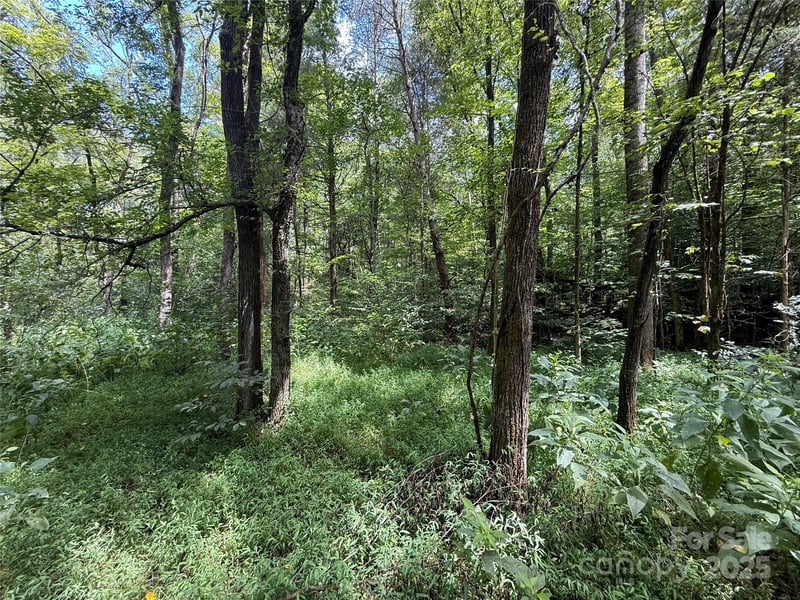 14.57 New Salem Dr, Statesville, NC 28625