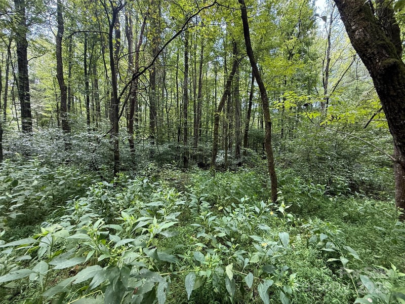 14.57 New Salem Dr, Statesville, NC 28625