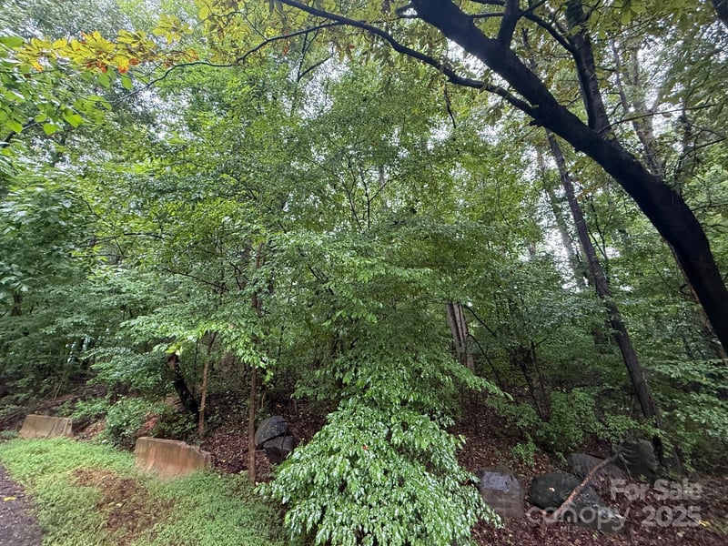 3117 Shirley Dr, Charlotte, NC 28214